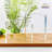 Clear Acrylic Matte Floater Picture Frame