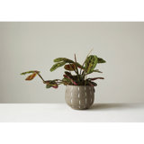 Boan Round Terracotta Planter with Hand Painted Lines and Glazed Finish