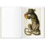 Seba Cabinet Of Natural Curiosities