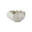 Mini Star Fruit Bowl