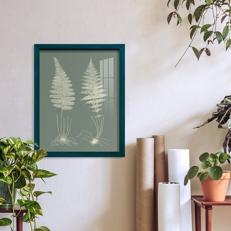 Ferns On Sage VI, reproduction d'art encadrée, H 15 po x l 12 po x P 1 po, Bleu