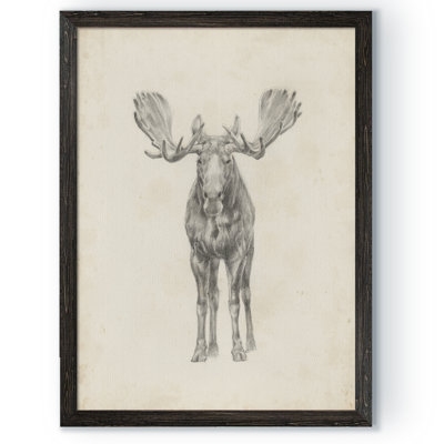 " Moose Study " by Paul Cezanne