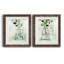 «Eucalyptus Branch Still Life I», ensemble de 2 reproductions d'art sur papier-1525283402-1525283420