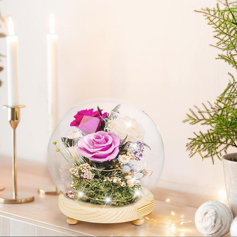 2 Pack Clear Glass Dome Cloche, 6 Inch Decorative Display Bell Jar With Wooden Base, DIY Snow Globes Case Keepsake Showcase For Flower