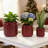 High quality ceramic flowerpot-312386703