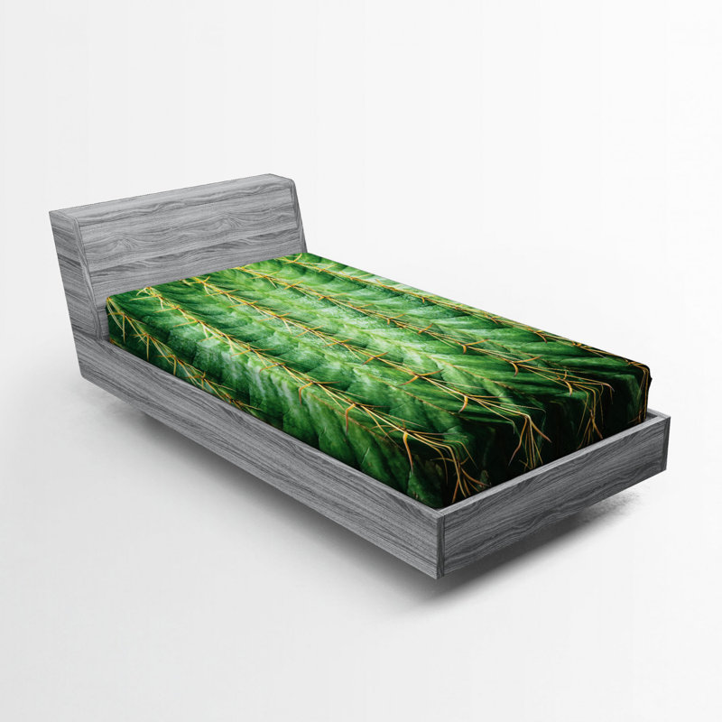 Drap-housse de cactus, Drap-housse simple TG