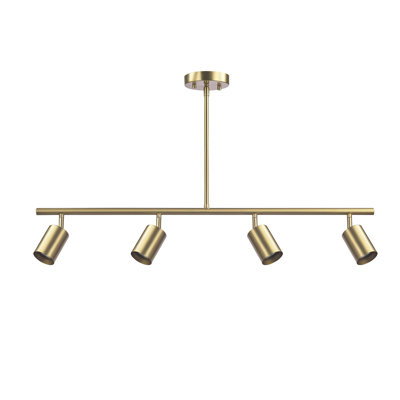 4-Light Adjustable Height Track Lighting