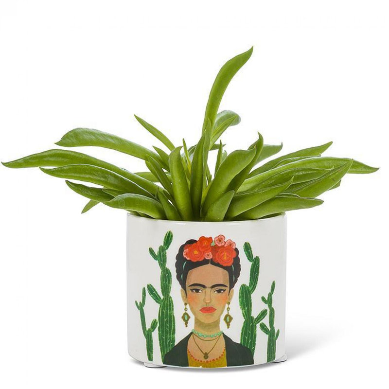 Lady & Cactus pot à fleurs, H 2,5 po x l 2,5 po x P 2,5 po