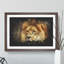 Lion Vol.6 - Picture Frame Graphic Art-62802640-62802641