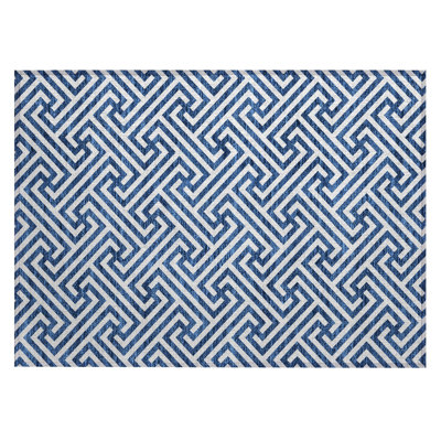 Washable Indoor / Outdoor Rug