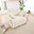 Single Seater Sofa With Throw Pillows-667301380