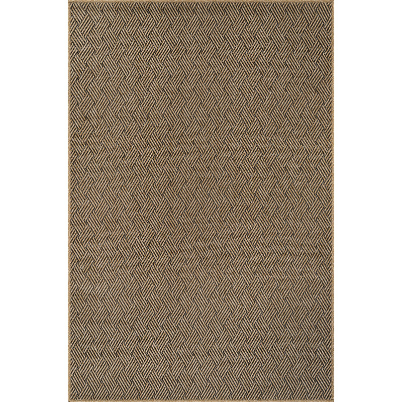 Indoor Outdoor Area Rug, Rectangle 6' x 9'