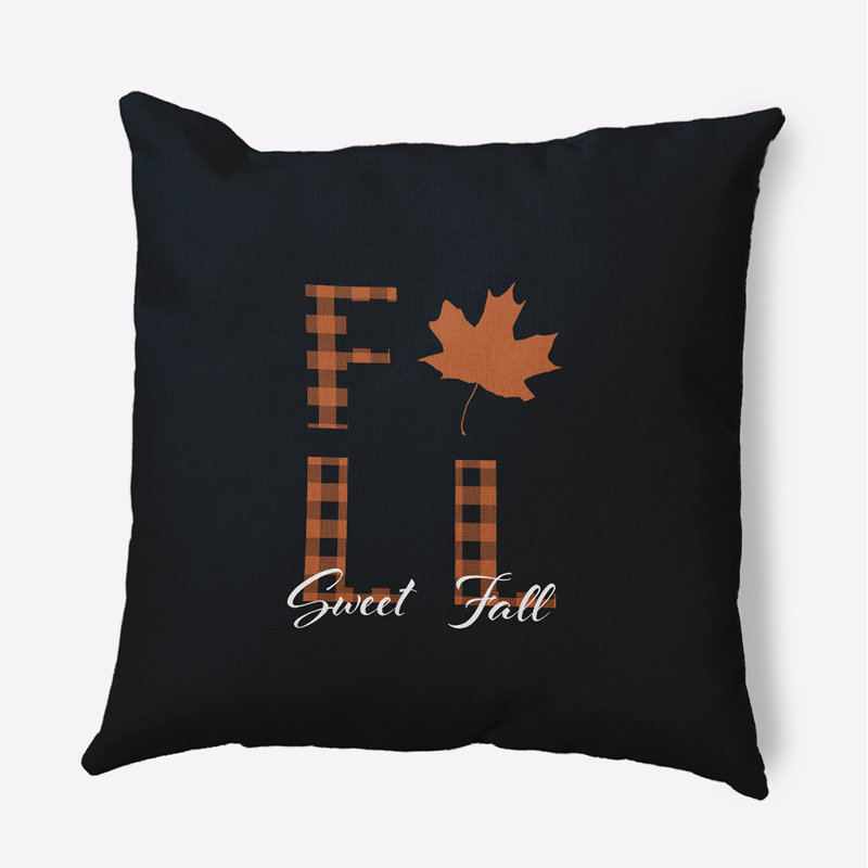  Housse et insert de coussin décoratif en polyester pour intérieur / extérieur E par Design, Noir, 18 po x 18 po