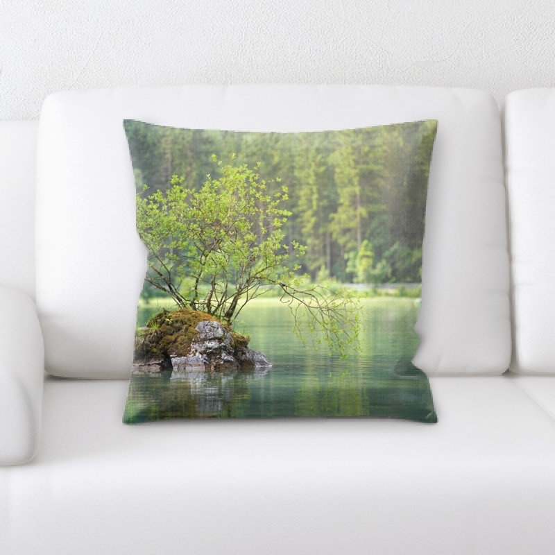 Coussin eau
