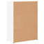 Oshyn 2 - Door Rectangle Accent Cabinet-1738992771