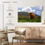 Vache écossaise Highland-107706000