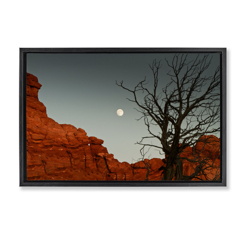«Full Moon Canyon», photographie par Jadei, H 21 po x l 31 po, Cadre flottant noir de jais