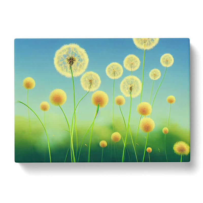Sweet Dandelion Flowers - Wrapped Canvas, 50cm H x 76cm W x 3cm D