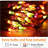 String Lights-1476696020