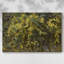 Paysages rétro-DCCXLIV -Galerie enveloppée Cavas-510857766