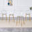 Modern Transparent Acrylic Counter Height Bar Stools with Metal Legs (Set of 2-4)-1919339549-1919339619