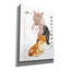 Impression sur toile tendue «British Shorthair» par Barbara Keith