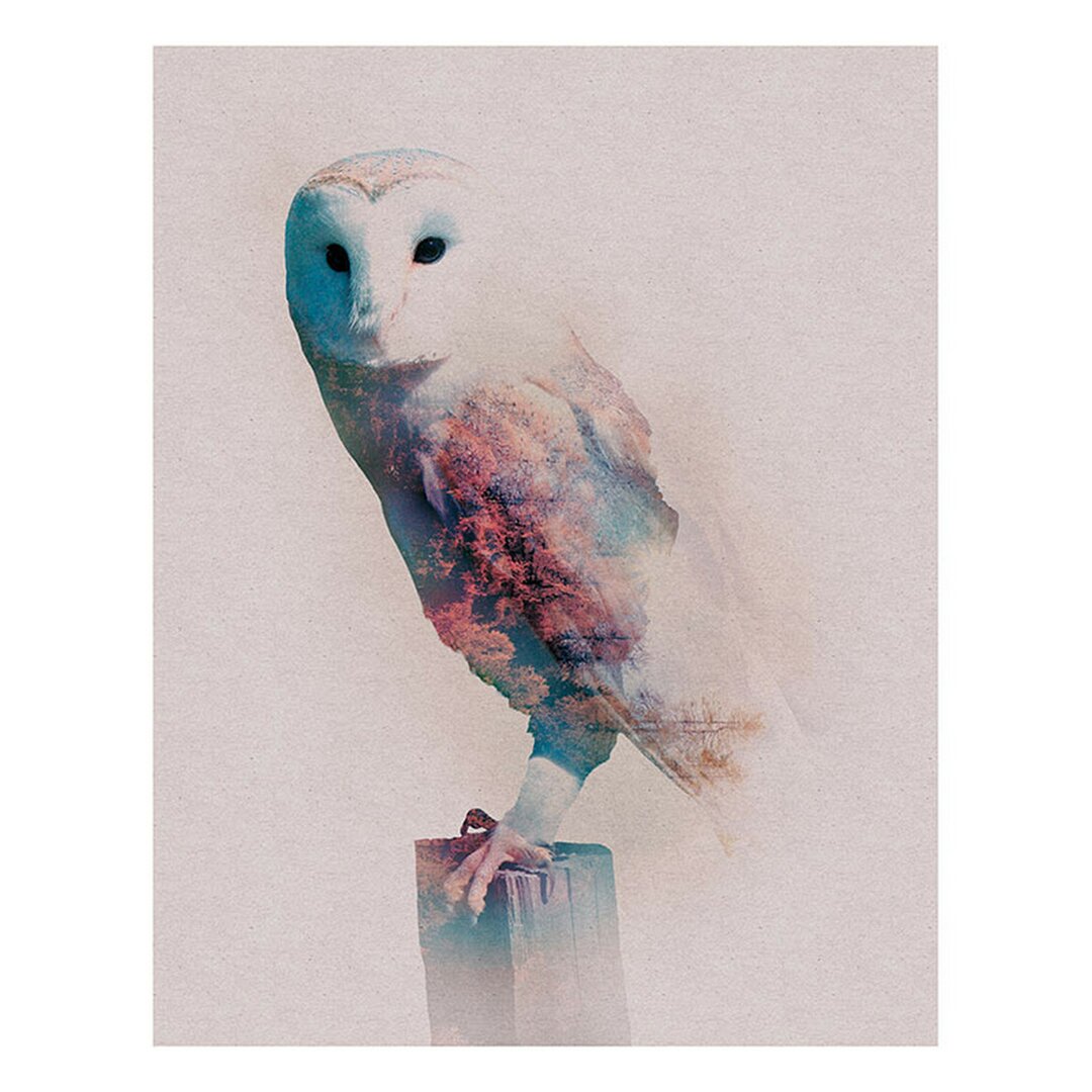 Poster Forest Animal Owl