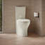 Persuade Curv Dual-Flush Toilet Tank-1346336584