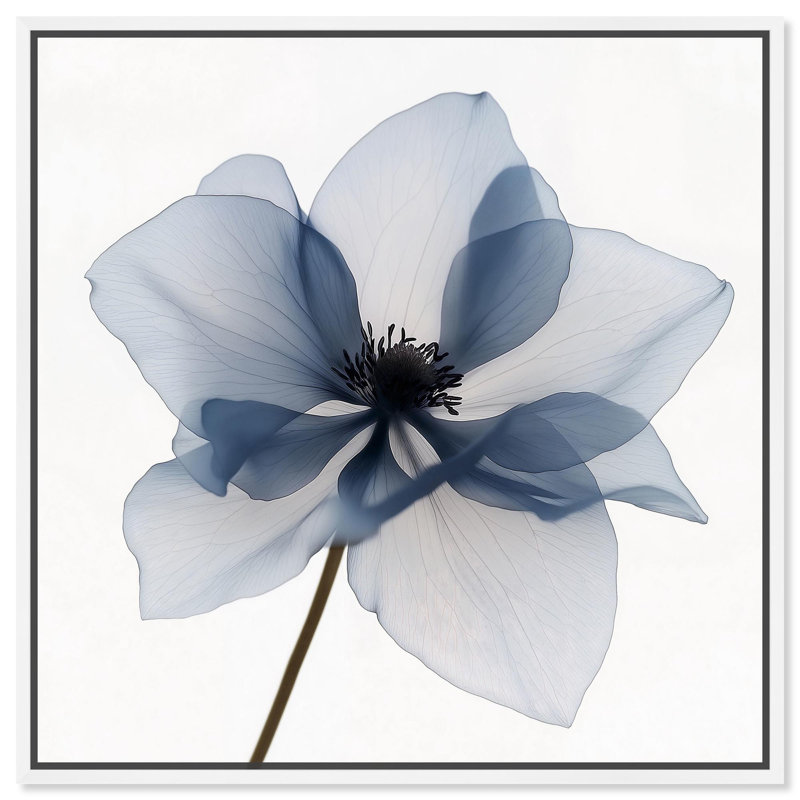 Art floral bleu sur toile Morning Petalia II par , H 13 po x l 13 po, Cadre flottant, Blanc