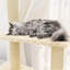 Ruislip 155cm H Cat Tree-1482694963