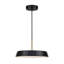 Relyea - 1-Light Pendant - 12"W - Black-1380154843-1380154841