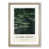 Oak Framed selected