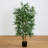 Twiggy Bamboo Silk Tree