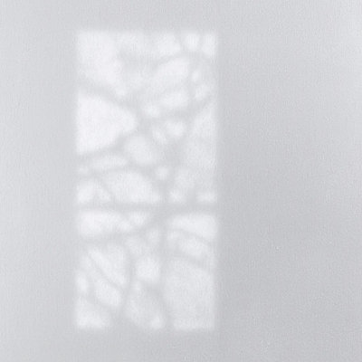 Ephemeral Shadows