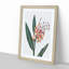 Renealmia Plant by R.J. Thornton - Picture Frame Painting Print-55598196-55598197