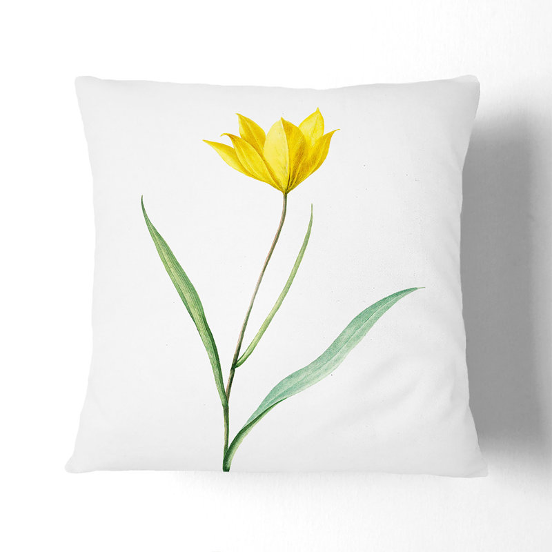 Square Cushion, Black, 55 x 55 cm