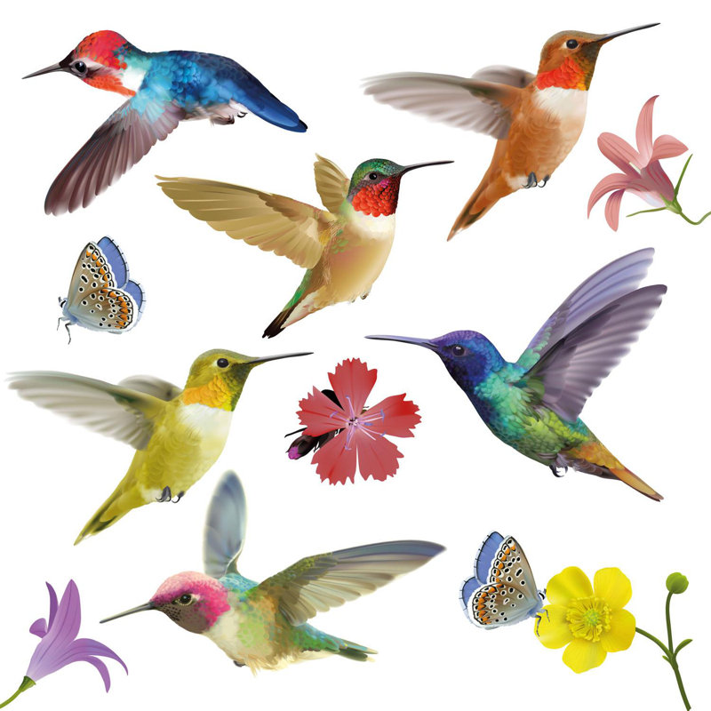 Les grandes fenêtres de colibris s'agrippent, H 37,4 po x l 37,4 po x P 0,01 po