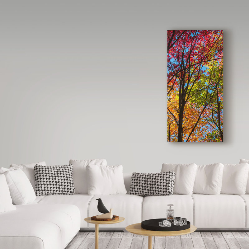 « color blend », reproduction de photo sur toile tendue, H 19 po x l 10 po x P 2 po