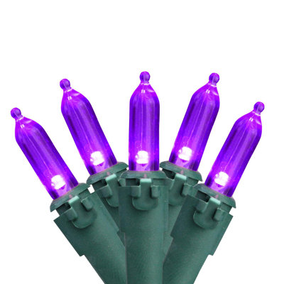 100-Light Warm LED Christmas String Lights