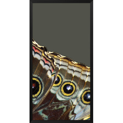 Wings 2' Framed Graphic Art Print on Glass