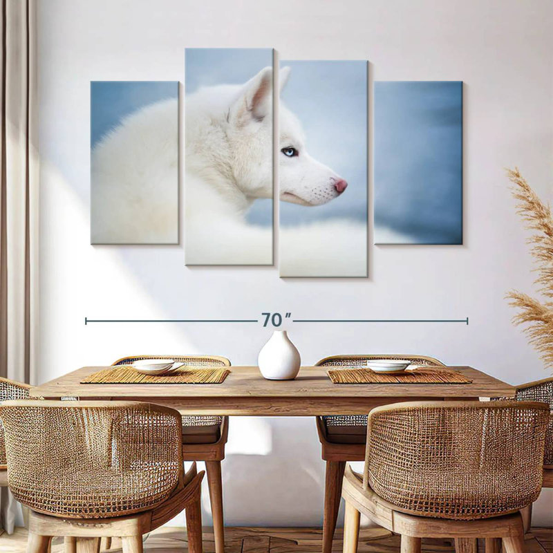 Husky blanc pur Brampt, H 42 po x l 68 po