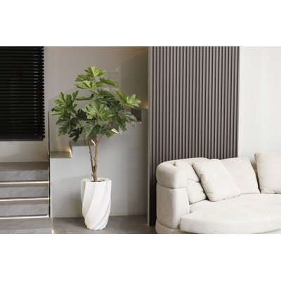 Sycomore de 73,3 po dans un grand pot de fleurs beige en fibre de pierre parfaite pour l'intérieur et l'extérieur