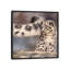 « side balay snow leopard cub », impression sur toile-33109812-72414089-72414087