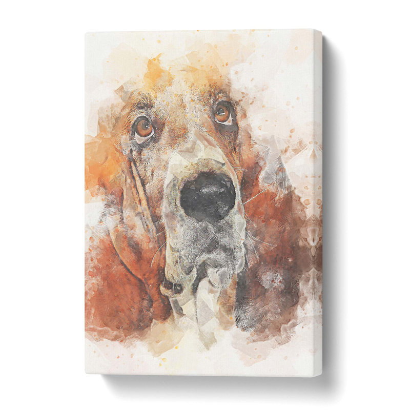 Basset Hound - Wrapped Canvas, 61 cm H x 40.6 cm W