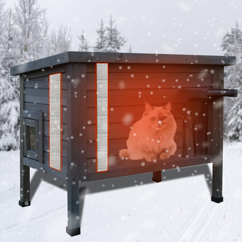 Maison pour chat