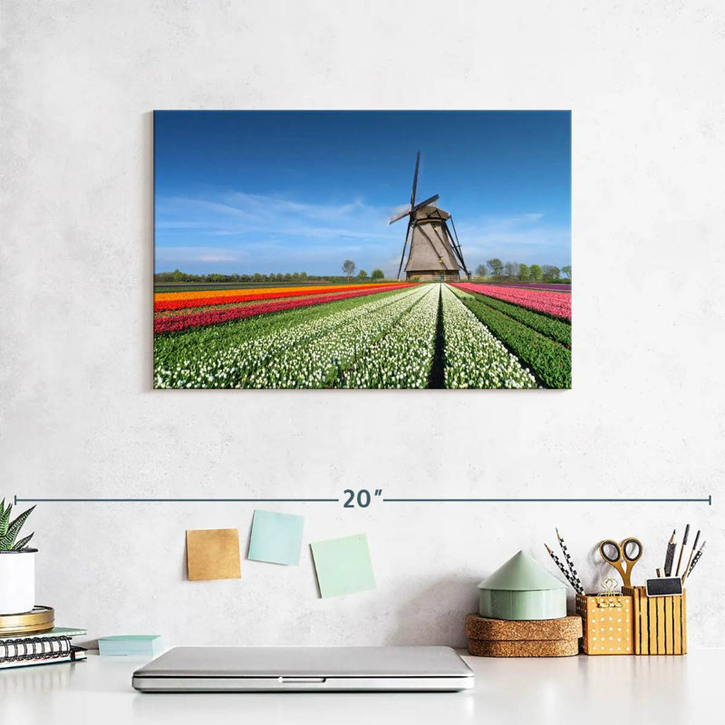 Moulin à vent et tulipes Alvord, H 8 po x l 12 po