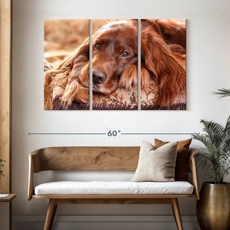 Setter irlandais Brampt, H 32 po x l 50 po