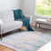 Oriental Indoor Rug