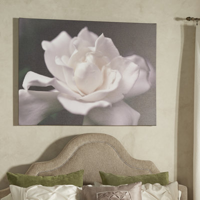 «Lovely Gardenia» par Kurt Shaffer - reproduction de photo
