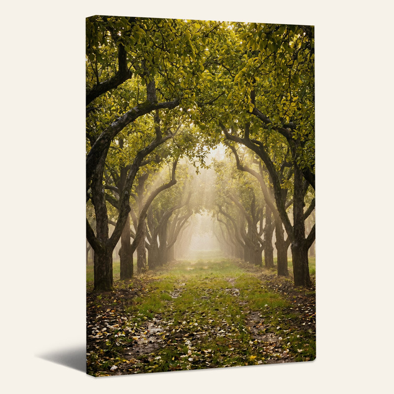 Art mural sur toile Sunlit, H 18 po x l 12 po